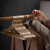 FlexiGuard - Windproof anti-roest kledinghangers van aluminium