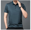 Royel - Polo coreana premium a maniche corte a righe