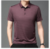 Royel - Polo coreana premium a maniche corte a righe
