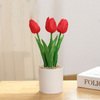 LED Tulip™ | Energiezuinige Led Tulp Lamp