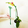 Durable Plant Stake™ | Ondersteun planten om nog mooier te worden