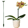 Durable Plant Stake™ | Ondersteun planten om nog mooier te worden