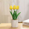 LED Tulip™ | Energiezuinige Led Tulp Lamp