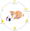 Laser Beam Chicken™ | Interactief kattenspeelgoed