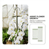 Durable Plant Stake™ | Ondersteun planten om nog mooier te worden