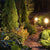 Solar Watering Can Fairy Lights™ | Fonkelende Lichten Op Zonne-Energie Voor Tuin