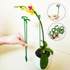 Durable Plant Stake™ | Ondersteun planten om nog mooier te worden